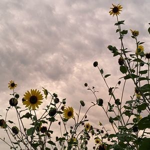 Meet your Posher, Umber